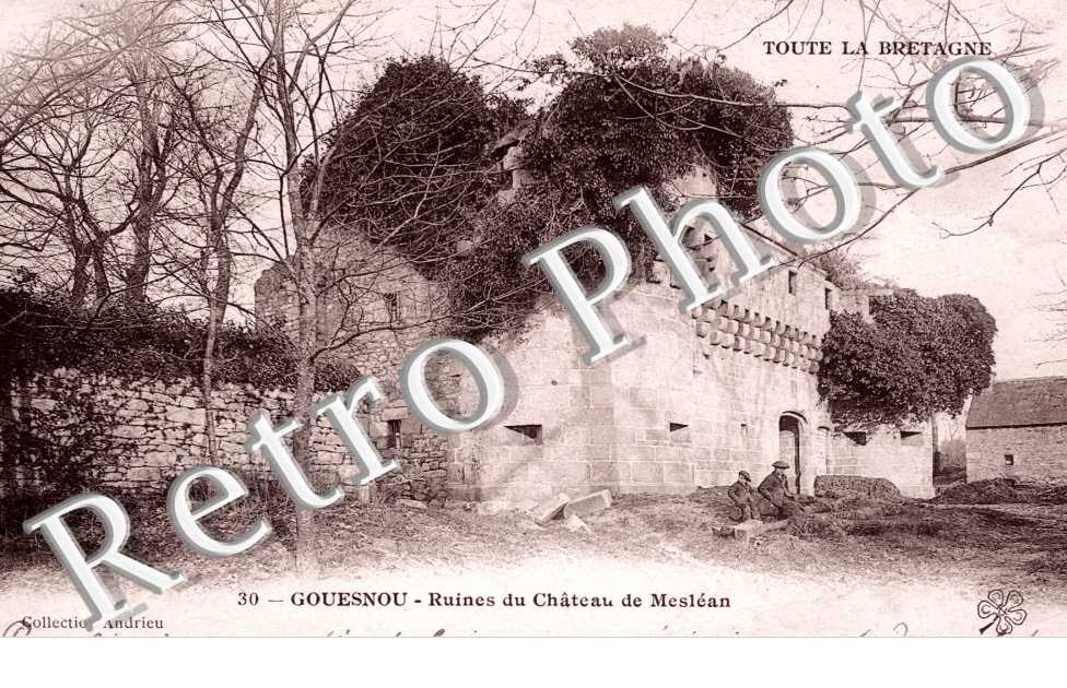 Ruines du Chateau de Meslean