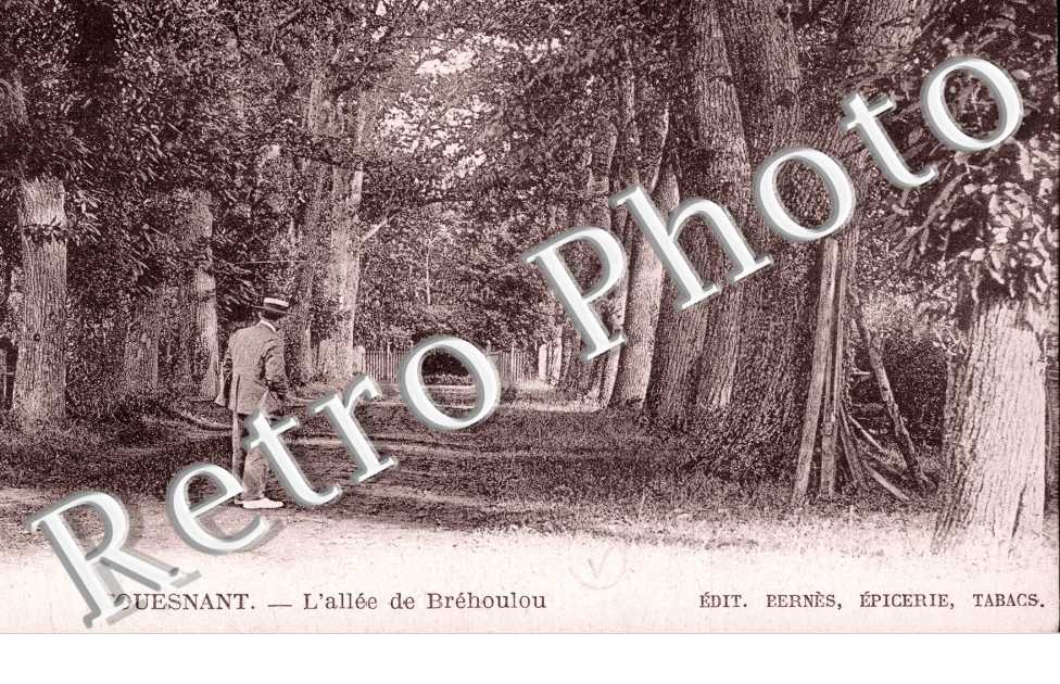 L'allee de Brehoulou
