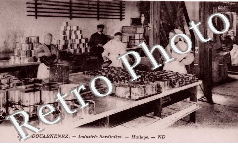Industrie sardiniere - Huilage