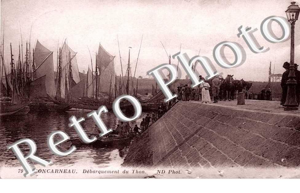 Debarquement du Thon