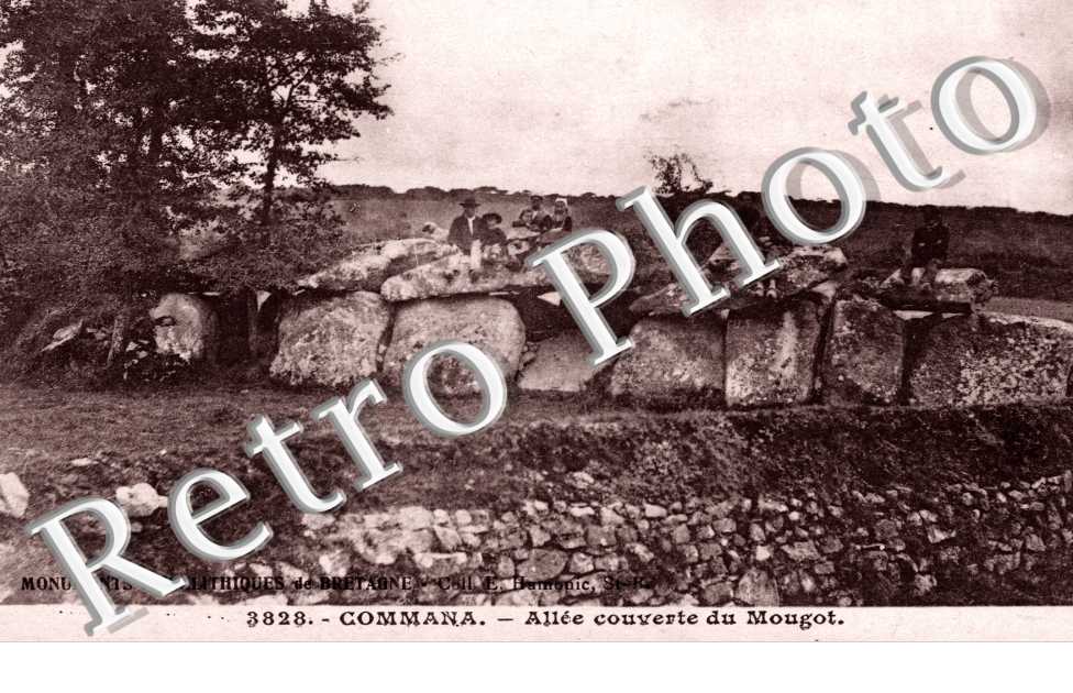 allee couverte du Mougot
