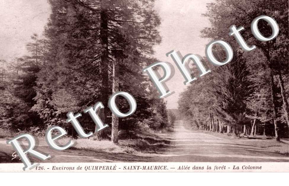 Allee dans la Foret, la Colonne, Saint-Maurice