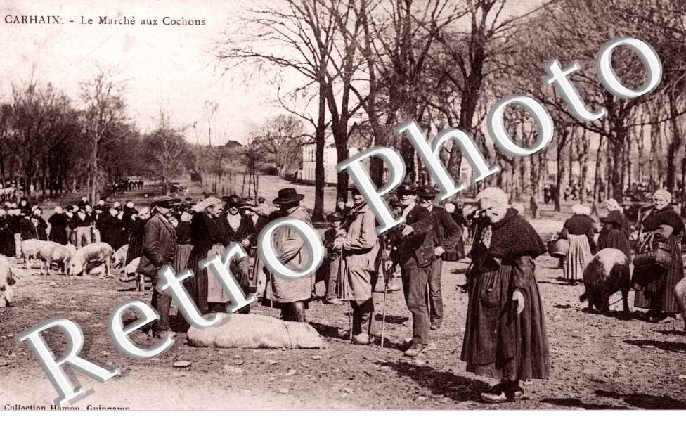 le Marche aux Cochons