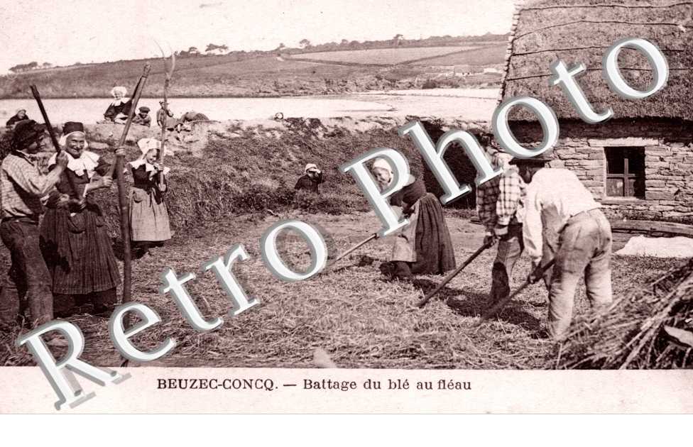 Battage du ble au fleau - agriculture