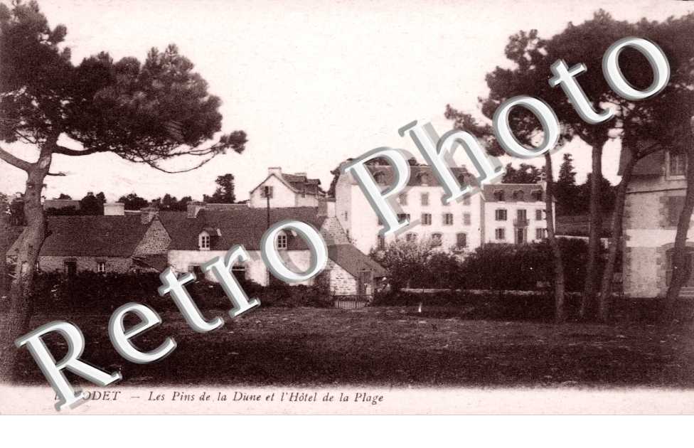 les Pins de la Dune et l'Hotel de la Plage