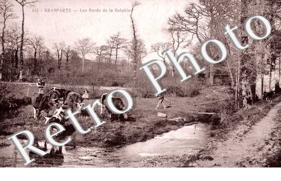 les Bords de la Delphine