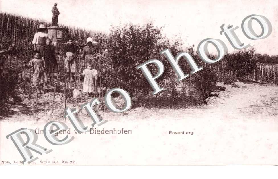 Rosenberg