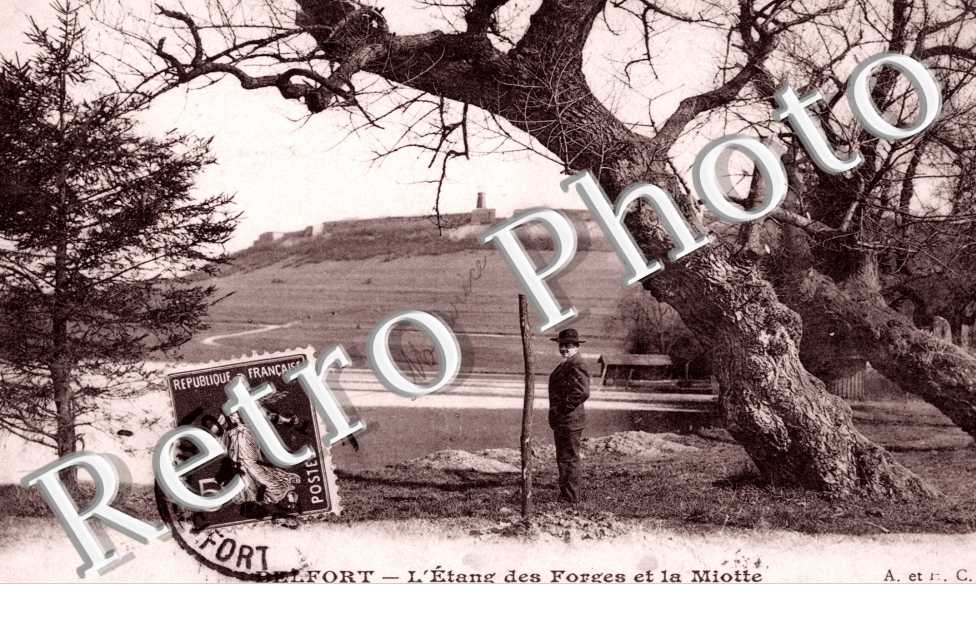 L&#039;Etang des Forges et la Miotte