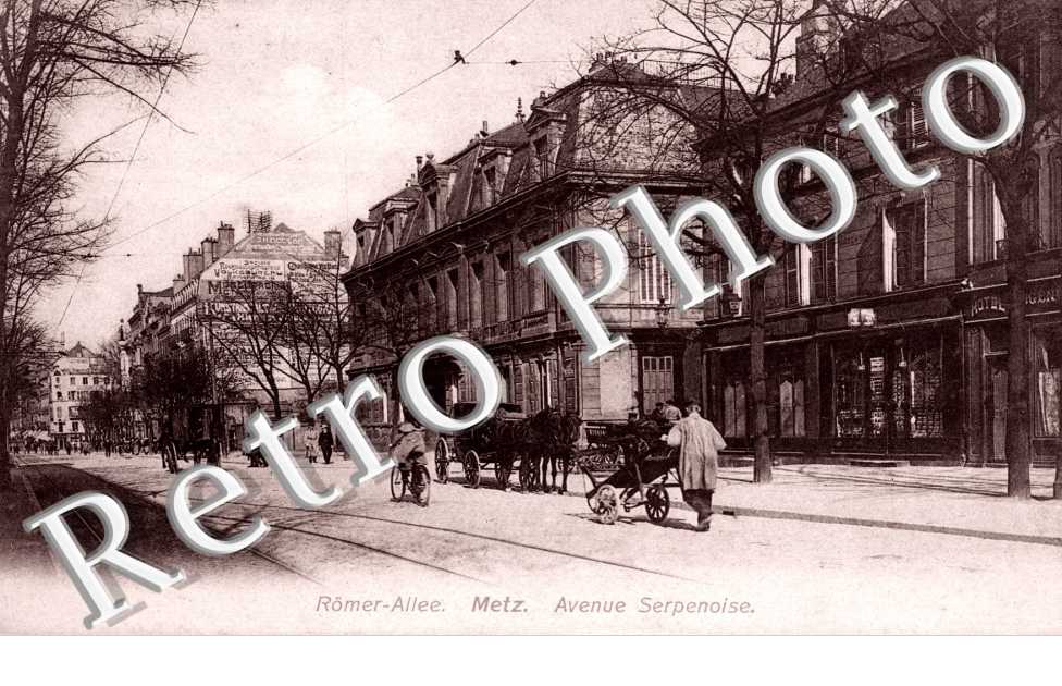 avenue Serpenoise