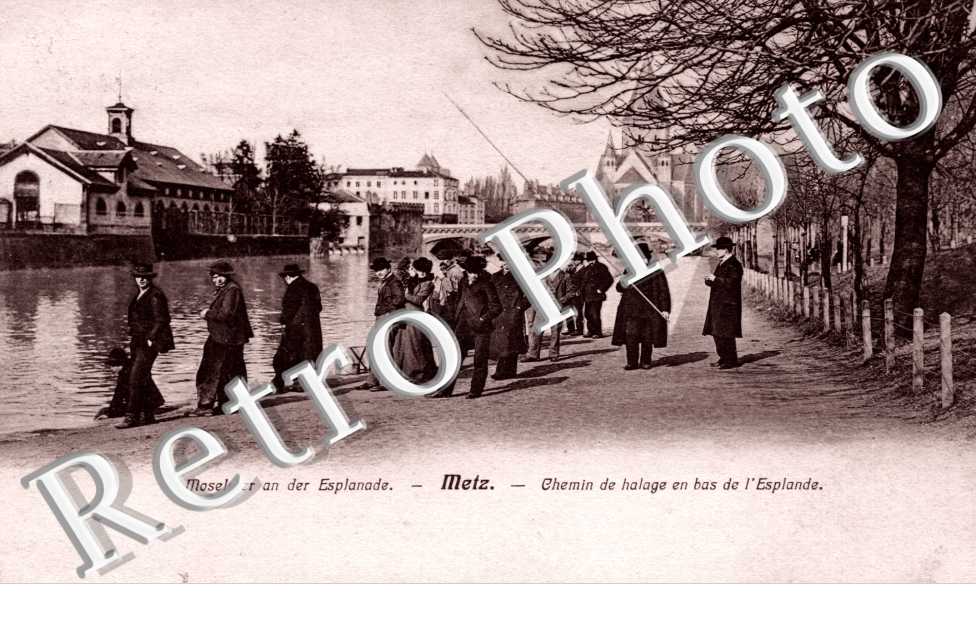 chemin de halage en bas de l'esplanade