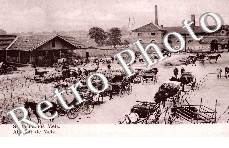 Abattoir