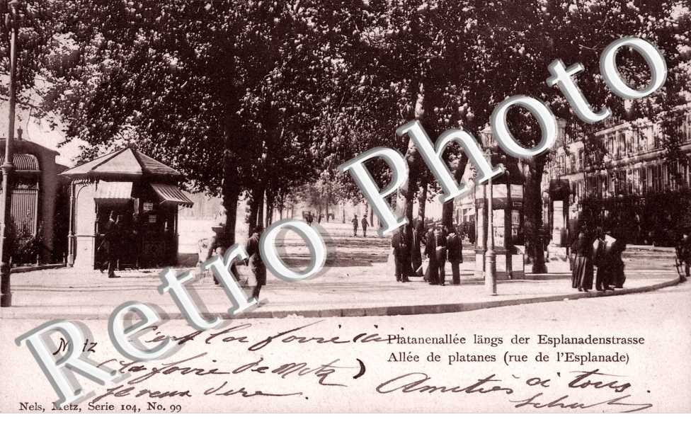 Allee de platanes -  rue de l'esplanade