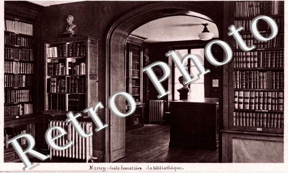 Ecole Forestiere - La Bibliotheque