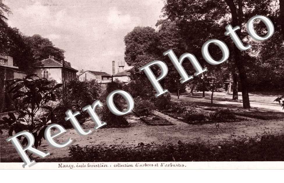 Ecole Forestiere Collection d'arbres et d'arbustes