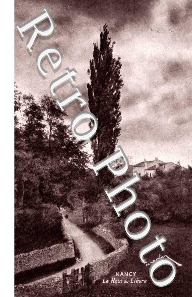 Le haut du Lievre