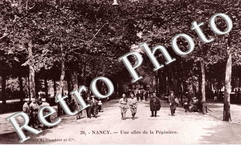 une allee de la Pepiniere