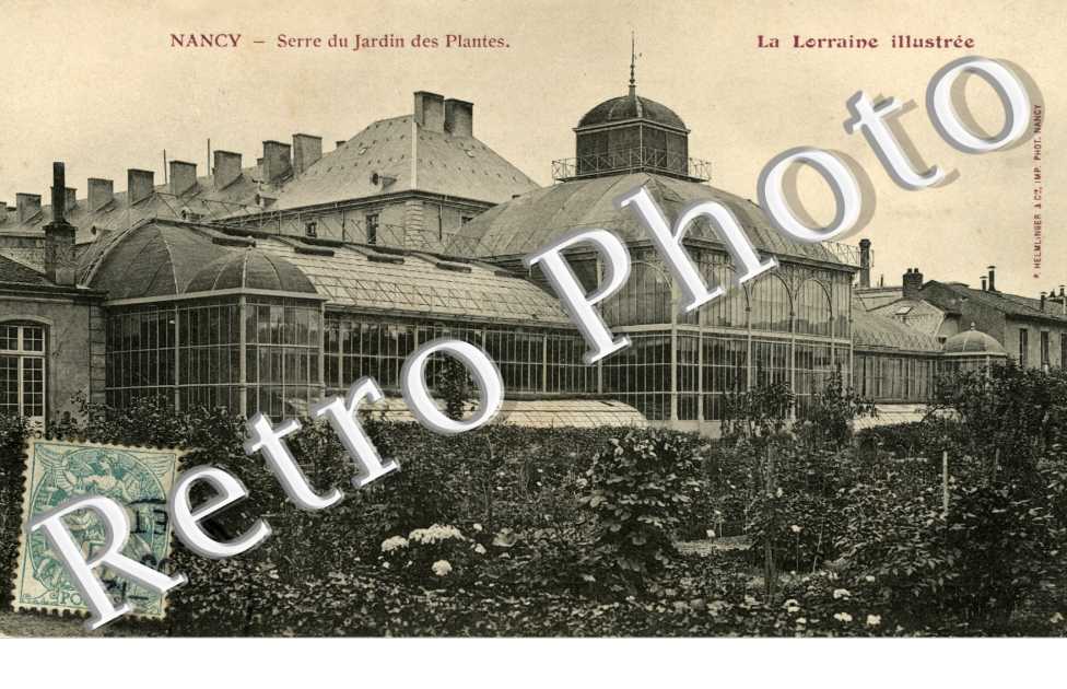 serre du jardin des plantes