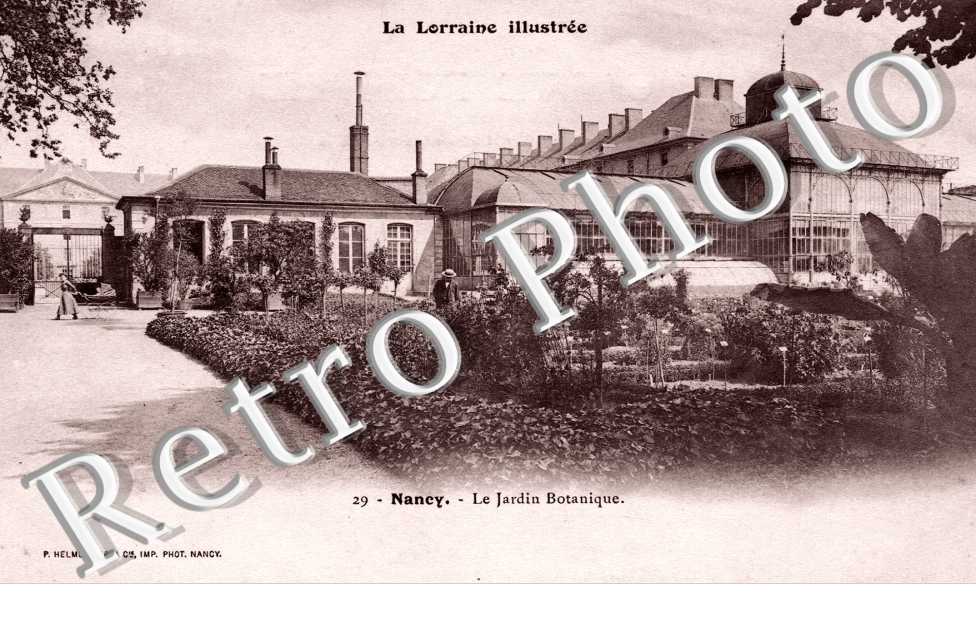 le jardin botanique