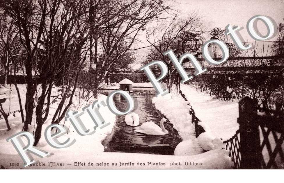 Le Jardin de Ville