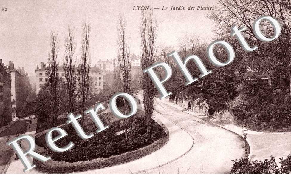 Le Jardin des Plantes