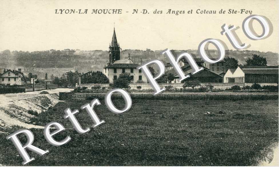 La Mouche, Notre Dame des Anges et Coteau de Ste Foy