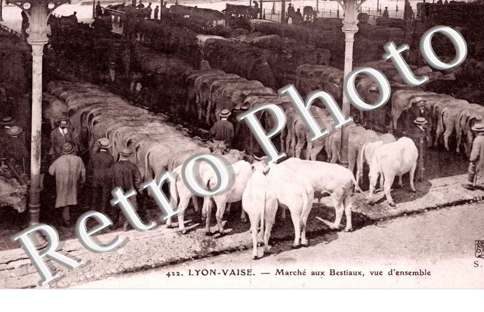 Vaise -Marche aux Bestiaux