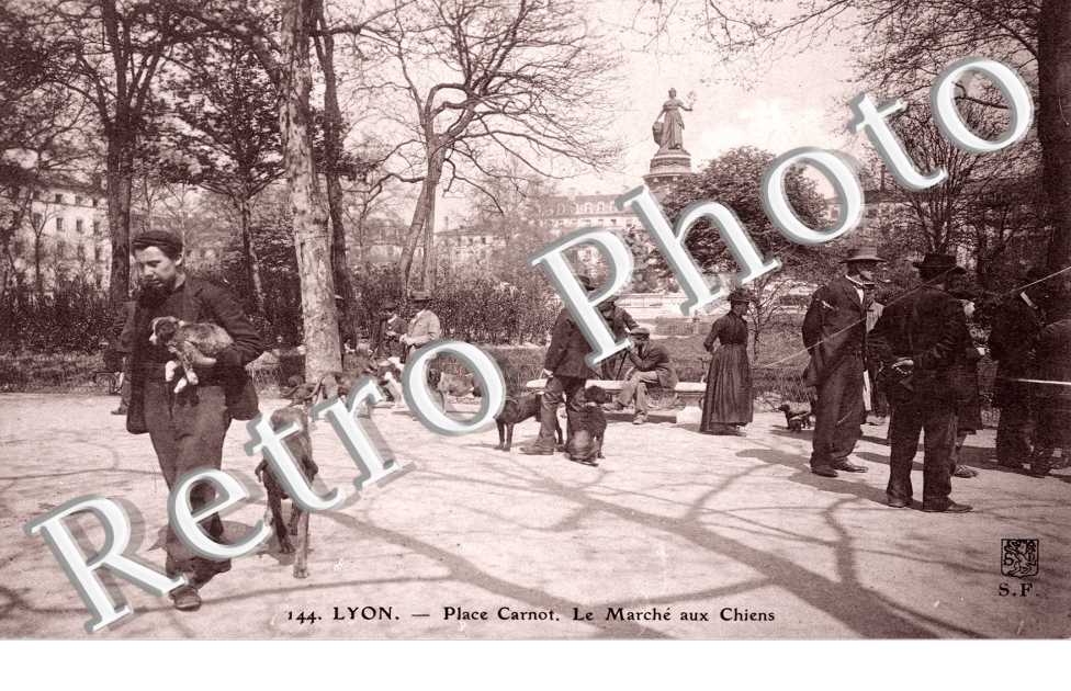Place Carnot, le Marche aux Chiens