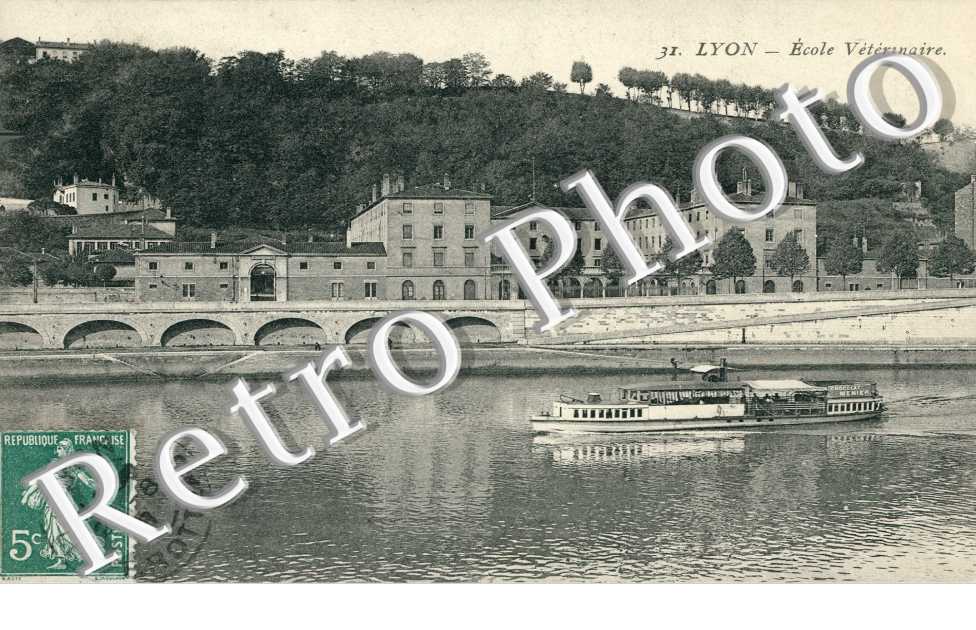 Ecole veterinaire