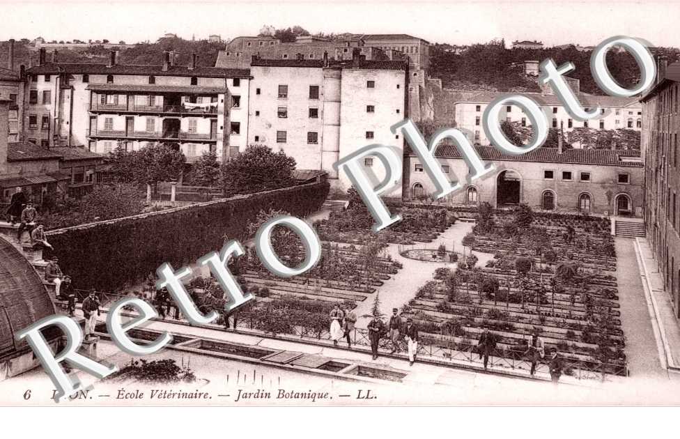 L'Ecole Veterinaire  Jardin Botanique