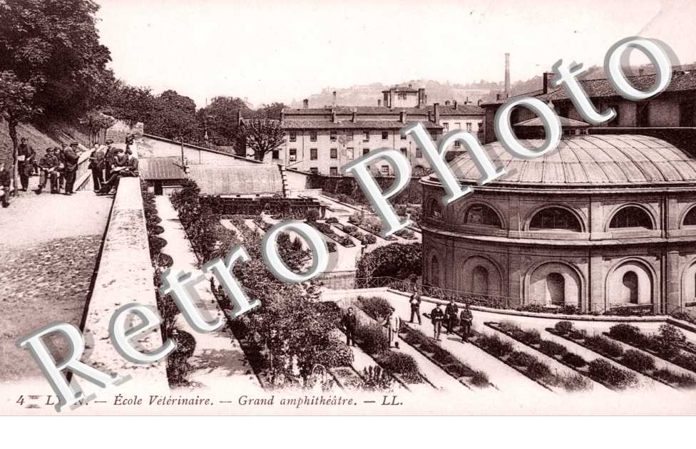 L'Ecole Veterinaire, Grand Amphiteatre