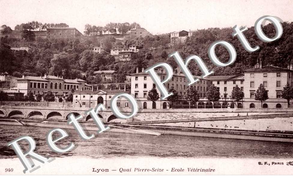 Quai Saint Pierre, Ecole Veterinaire