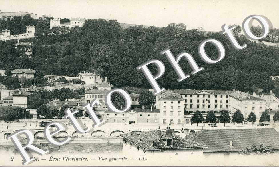 Ecole veterinaire Vue generale
