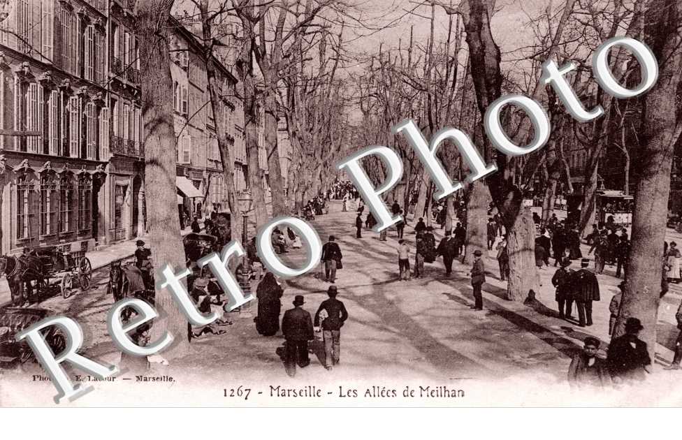 LES  ALLEES DE MEILHAN