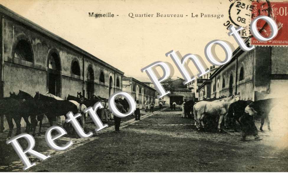 quartier Beauveau Le pansage