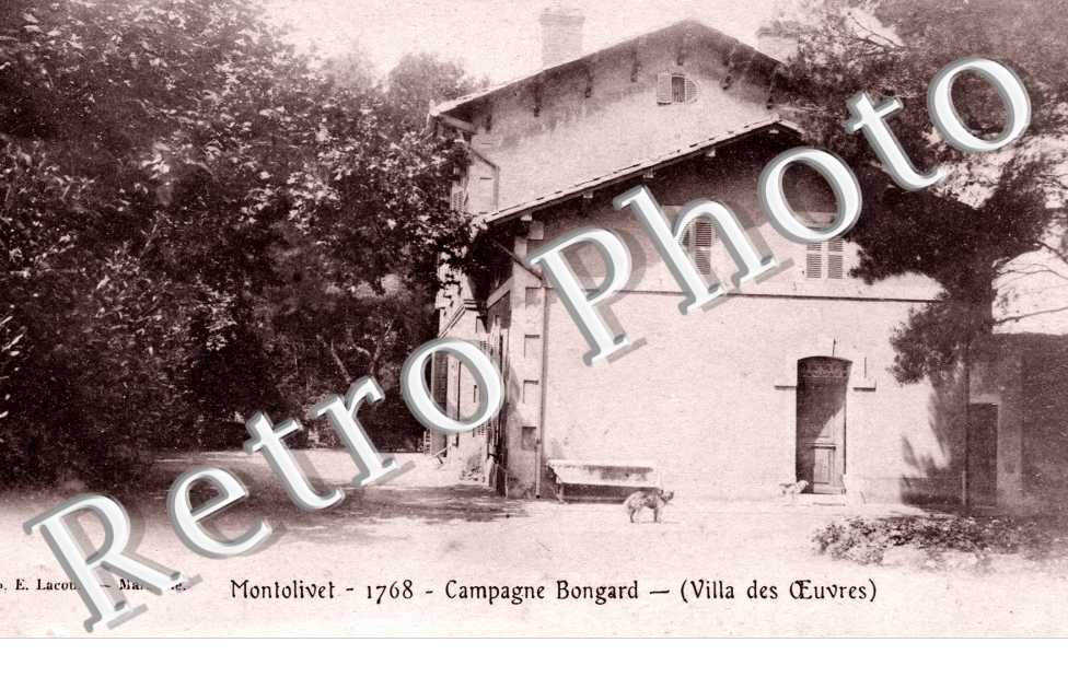 Montolivet, Campagne Bongard