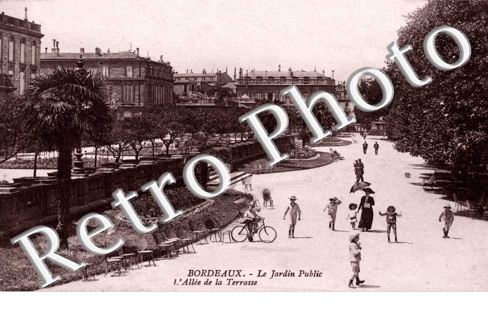 le Jardin Public - l'allee de la Terrasse