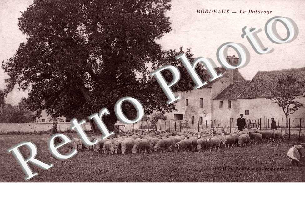 Le Paturage