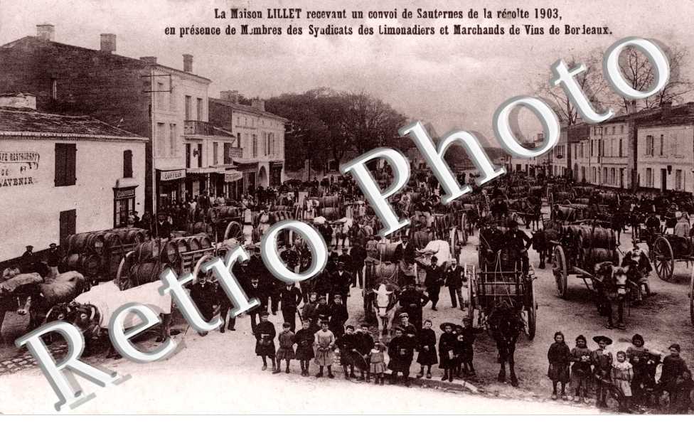 La maison Lillet recevant un convoi de Sauternes de la recolte 1903  - tonneaux