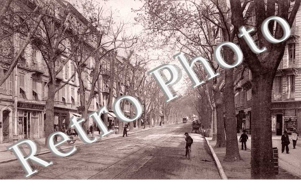 Avenue Malaussena