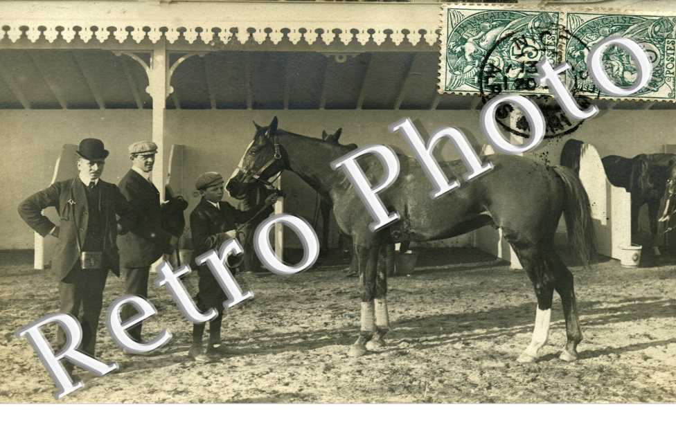 Chevaux de course
