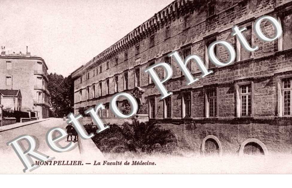 la Faculte de Medecine