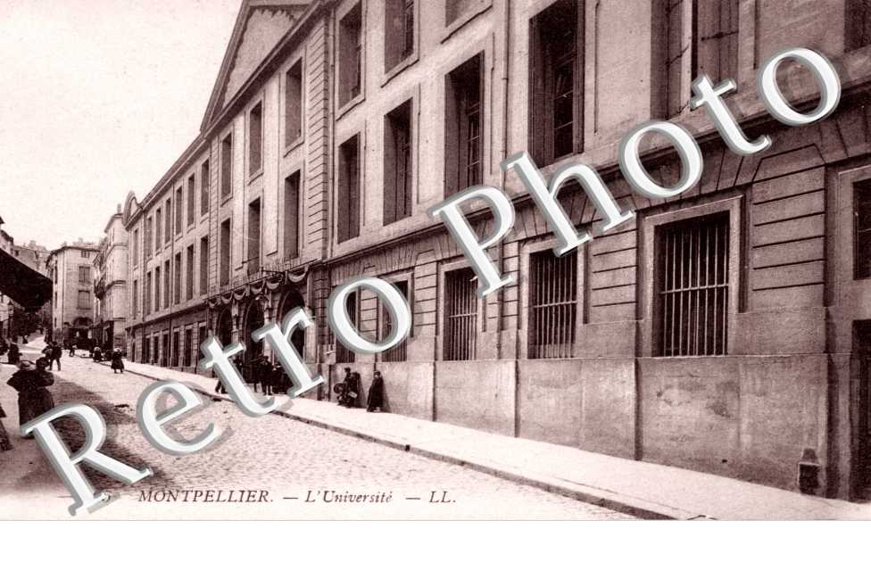 l'Universite