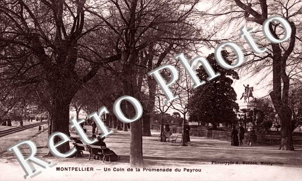 Un coin de la promenade