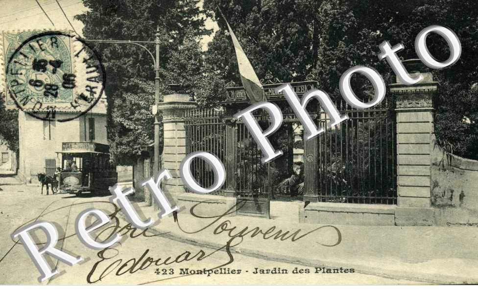 Jardin des Plantes