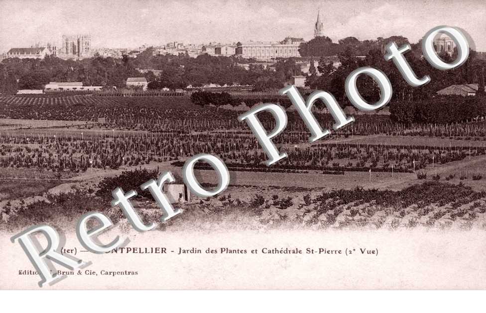 Jardin des Plantes et cathedrale Saint Pierre