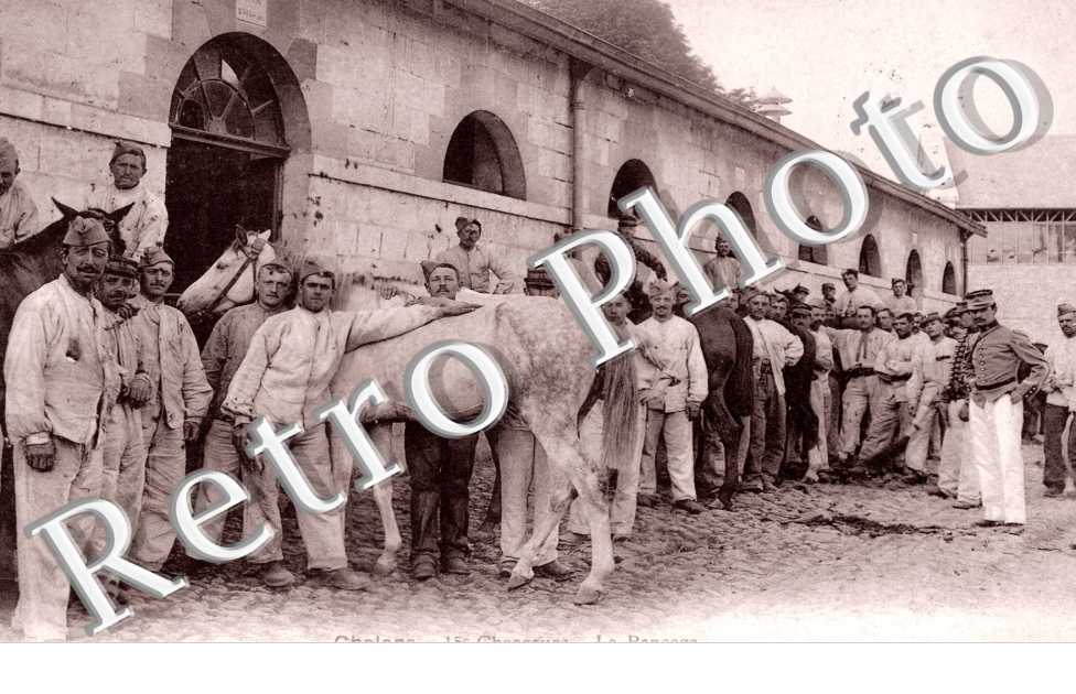 15eme chasseurs - le pansage