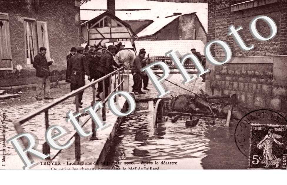 le Bief de Jaillard Inondation janvier 1910  - chevaux noyes