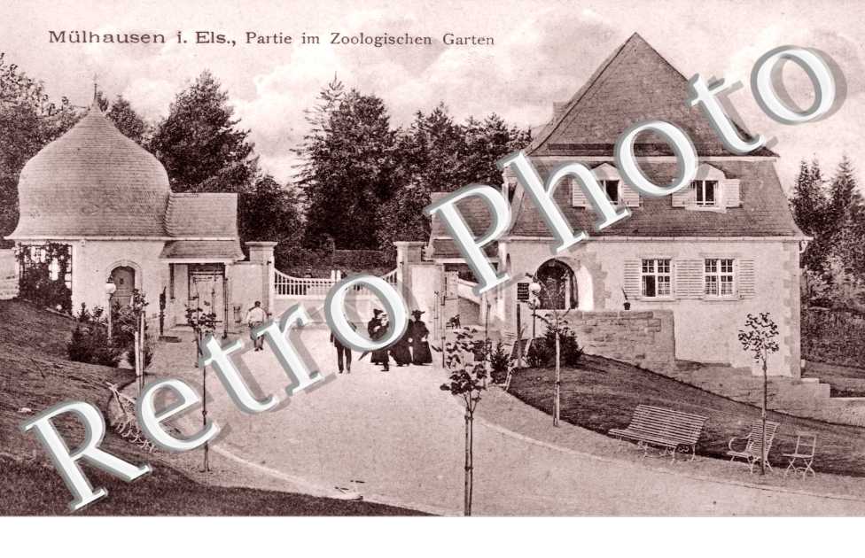 Partie im Zoologischen Garten