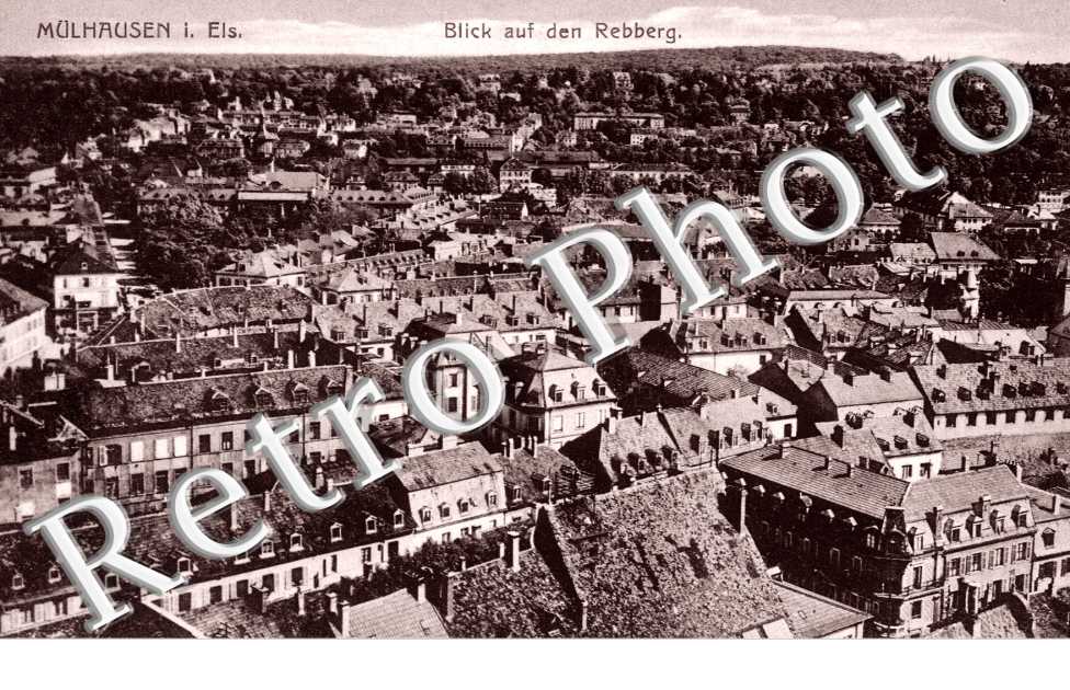 Blick auf dem Rebberg
