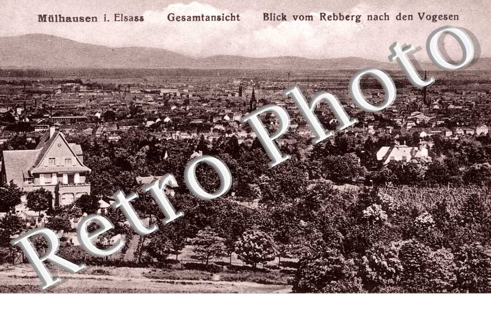 Gesamtansicht, Blick vom Rebberg nach den Vogesen